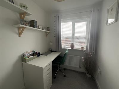 Picture 24
